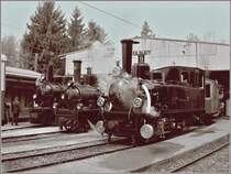 40 years Blonay -Chamby Railway: The SEG G 2x2/2 105, the RhB G 3/4 No 1 and the JS BAM G 3/3 N° 6 in Chaulin.
03.05.2008