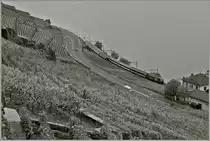 A SBB Re 460 with an IR Service to Geneva near Epesses VD.
01.11.2013