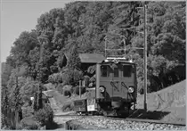 50 years Blonay -Chamby Railway - Mega Bernina Festival (MBF):
The Bernina Bahn Ge 4/4 82 with the Riviera Belle Epoque Service to Chaulin between Chernex and Chamby.
08.09.2018