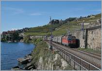 The SBB Re 420 252-9 with Cargo Train between Rivaz and St Saporin.

30. 09.2019