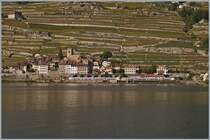 Two SBB RABe 523 (FLIRT) on the way to Villeneve by St Saphorin.

01.10.2019