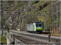 The BLS Re 485 008 in Ausserberg. 

25.10.2017
  