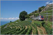 A SBB RABe 511 between Vevey and Chexbres.

19.07.2018