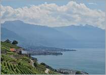 A SBB RABe 511 between Vevey and Chexbres.

19.07.2018
