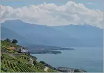 A SBB RABe 511 between Vevey and Chexbres.

19.07.2018