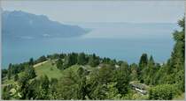 A Rochers de Naye train near Caux. In the backgroud the lac of Geneva. 

03.08.2013