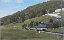 The MOB Ge 4/4 8004 with a Panoramic train by Flendruz.

02.04.2018