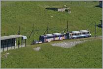 Rochers de Naye Bhe 4/8 near Jaman.

01.07.2018