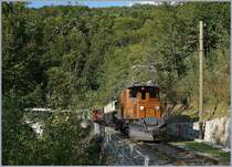 50 years Blonay Chamby Mega Bernina Festival: The Bernina RhB Ge 4/4 182 with the MOB DZe 6/6 2002 and a long passenger-train by Vers Chez Robert. 

15.09.2018