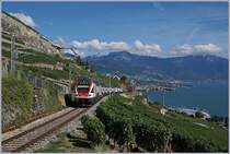 Two SBB RABe 511 on the way to Fribourg Geneva by Chexbres (Summertimetable 2018) 

26.08.2018