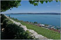 A SBB ICN (RABe 500) beteen Twann and Ligerz.

14.08.2019