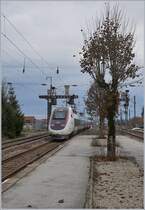 The TGV 4411 from Paris to Lausanne is leaving Frasne. 

23.11.2019