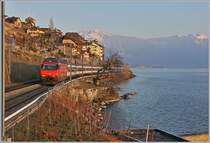 A SBB Re 460 wiht an IR to Geneva Airport by St Saphorin. 

25.01.2019