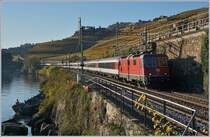 The SBB Re 4/4 II 11194 with an IR to St Maurice between Rivaz and St Saphorion. 

16.10.2017