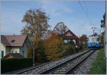 The MOB ABDe 8/8 4002 VAUD  by Planchamp on the way to Montreux. 

06.11.2018