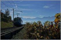 A MOB ABDe 8/8 in the vineyard by Monteux.

25.10.2018
