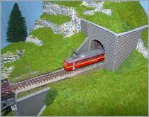 A BVB  Ze (1:220 / 3 mm gauge) BDeh 2/4.

04.11.2016