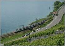 A SBB ERT 610 (RABe 503) on the way to Geneva near Cully.

15.06.2011