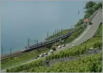 A SBB ERT 610 (RABe 503) on the way to Geneva near Cully.

15.06.2011