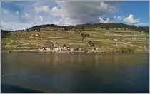 Lauvaux and two RABe 523 on the way to Villeneuve by St-Saphorin. 


01.10.2019