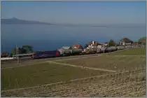 A SBB Re 6/6 with a Cargo Train near Cully on the way to St-Saphorin. 

20.04.2018