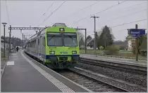 The BLS RBDe 565 731 wiht his local train service from Lyss to Büren in Busswil. 

18.04.2021