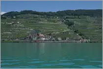 By St Saphorin is a SBB Re 460 with his IR90 on the way to Lausanne

02.08.2024