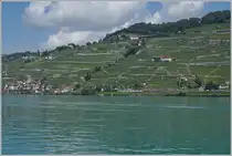 By St Saphorin is a SBB RABe 511 on the way to Vevey. 

02.08.2024 