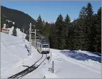 The BLM Be 4/6 101  Mönch  reaches the Winteregg train station as a regional train R 66 from (Lauterbrunnen)/Grütschalp to Mürren. February 18, 2025