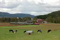 212 309 on 18.10.2009 with special train near Friedensdorf (Dautphe)