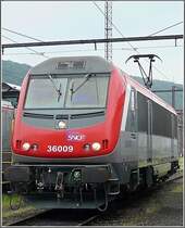 BB 36009 was shown in Kinkempois on May 18th, 2008. These french engines (Astride) have a third Pantograph and can therefore run on different power systems, they also have safety equipment for different countries. The first 30 numbers in this range are red (Voyageurs), they are mainly used for passenger transport. The last 30 numbers are green (Fret) and are used for freight trains. 