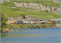 Re 620 013-5 with a cargo train by Rivaz. 
07.07.2010