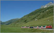 Glacier Express Zermatt - Davos between Realp and Hospental. 
19.07.2010