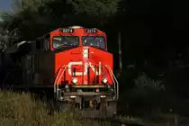 CN ES44DC 2274 comes out of the forrest. Eastside of Toronto on 13.Sept.2010.
 