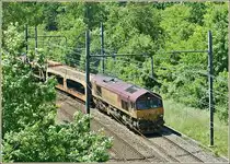The EWS 66234 with a Cargo train by Russin. 
29.05.2009