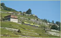 The  Train des Vignes  in the vineyards. 
03.10.2010