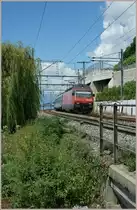 SBB Re 460 115-9 with IR by Rivaz on the way to Brig. 
03.08.2010