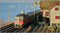 Re 4/4 II with an IR to Brig by St-Saphorin. 
25.01.2009