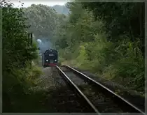 On the way to Putbus: the  Rasende Roland  in the (rain)-wood by Binz.
20.09.2010