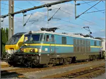 1503 taken in Gouvy on September 14th, 2008.