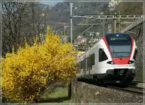 Springtime and Flirt.
by the castle of Chillon
29.03.2011