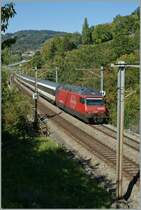 SBB RE 460 008-6 with the IR 2527 between Bossire and Grandvaux.
03.10.2010