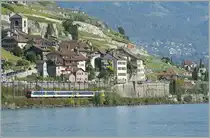 A NPZ by St Saphorin. 
03.10.2010