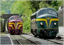 The Diesel engines 202.020 and 1604 photographed in Dorinne-Durnal on May 16th, 2009.