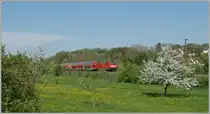 Springtime on the  G�ubahn  by Engen: A DB 146 wiht his RE runs to Konstanz.
22.04.2011