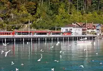 A Baggage railcar De 110 of the Zentralbahn with an IR (Interlaken - Lucerne) on 30.09.2011 at Brienz station.