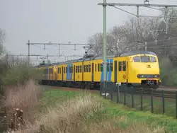 EMU (klasse hondekop 