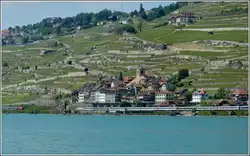 Vinodlingsterrasserna i Lavaux är en fin bakgrund för mötet mellan två IR i St Saphorin den 26 maj 2012.