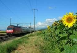Die Re 460 037-5 mit einem IC 2000 bei Allaman   25.07.2007