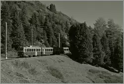WAB lokale trein tussen Kleine Scheidegg en Wengernalp   09.10.2014